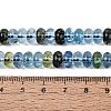 Crackle Transparent Glass Beads Strands GLAA-N074-02A-12-4