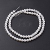 Shell Pearl Bead Strands X-BSHE-P023-3mm-2