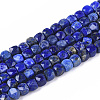 Natural Lapis Lazuli Beads Strands G-S362-002-1