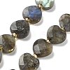 Natural Labradorite Beads Strands G-B044-B21-01-2