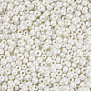 6/0 Glass Seed Beads SEED-N005-002A-F03-3