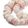 Natural Seashell Shell Beads Strands SSHEL-H072-10-3