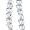 Baking Paint Transparent Glass Beads Strands DGLA-A08-T8mm-KD07-1