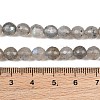 Natural Labradorite Beads Strands G-O176-04B-7
