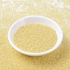MIYUKI Round Rocailles Beads SEED-G007-RR0273-2