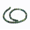 Natural Moss Agate Beads Strands G-L476-05-3