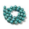 Dyed Natural Howlite Beads Strands G-G023-B01-01C-3
