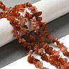 Natural South Red Agate Chips Bead Strands G-M205-40-1
