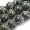 Natural Green Zebra Jasper Beads Strands G-S259-34-10mm-1