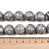 Natural Map Stone Beads Strands G-L648-A05-16mm-6