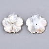Natural White Shell Mother of Pearl Shell Beads SSHEL-N032-18-2