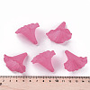Transparent Acrylic Beads BSF796-C16-6