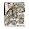 Nuggets Raw Rough Natural Pyrite Collections AJEW-Q152-06-1