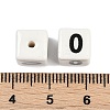 Handmade Porcelain Beads LS-PORC-R003-07-00-3