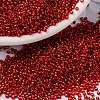 MIYUKI Round Rocailles Beads X-SEED-G009-RR0010-1