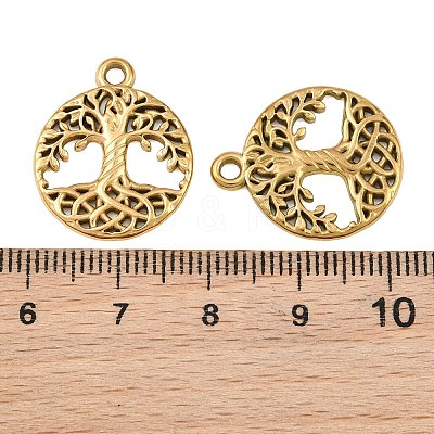 304 Stainless Steel Pendants SA-CBA1839-20G-1