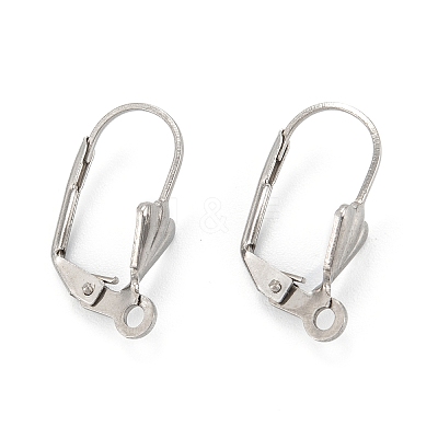 Tarnish Resistant 304 Stainless Steel Leverback Earring Findings LS-STAS-K218-08P-1