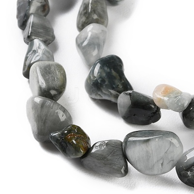 Natural Eagle Eye Stone Beads Strands G-P497-01C-52-1