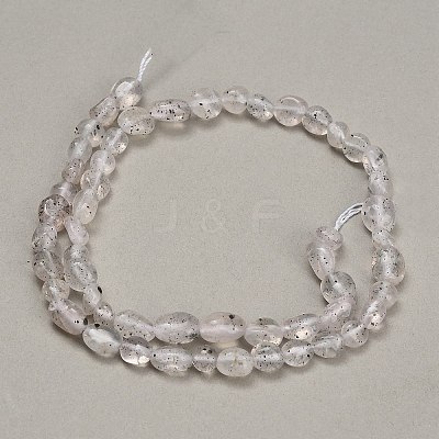Natural Biotite Beads Strands GG-CBAC61B-B02-02-B-1