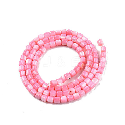 Natural Freshwater Shell Beads Strands X-SHEL-N003-33-A09-1