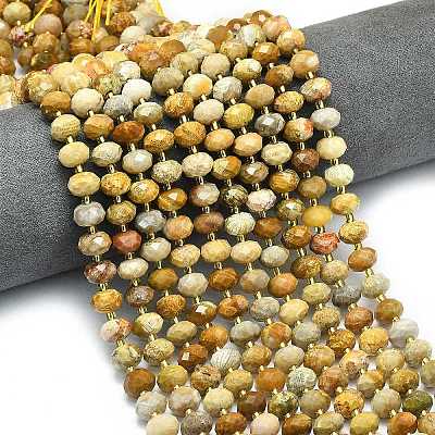 Natural Fossil Coral Beads Strands G-P573-A02-01-1