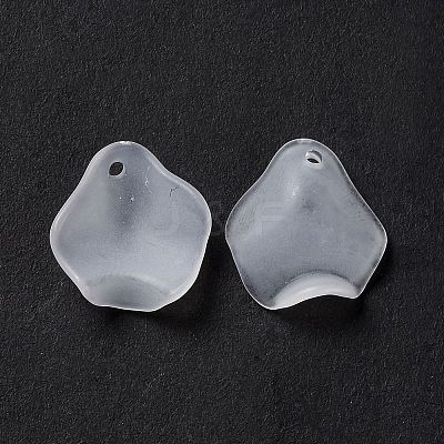 Frosted Acrylic Pendants OACR-G014-02-1