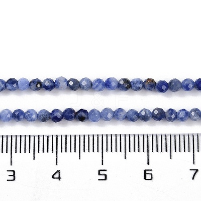 Natural Sodalite Beads Strands G-G139-A07-02-1