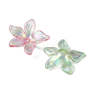 Transparent Acrylic Bead Caps OACR-O006-05-1