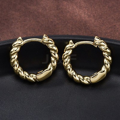 Brass Twisted Rope Chunky Hinged Huggie Hoop Earrings for Women EJEW-P196-25G-1