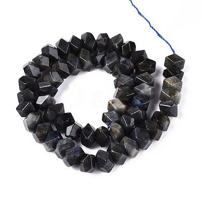 Natural Larvikite Beads Strands G-D091-A29-1