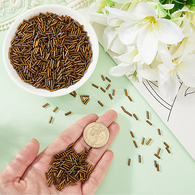 3000Pcs Glass Bugle Beads SEED-PA0001-13A-1