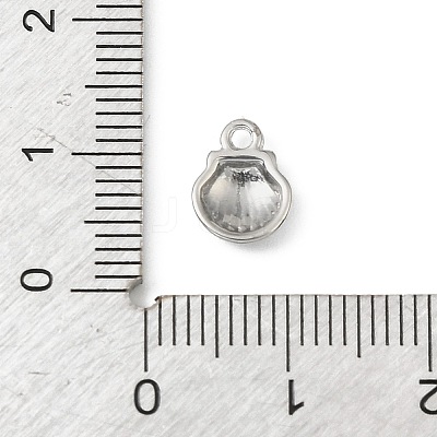 304 Stainless Steel Charms LS-STAS-F327-03F-P-1