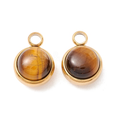 Natural Mixed Stone Charms G-K325-01G-1