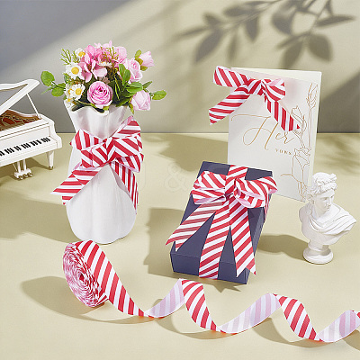 20Yards Polyester Stripe Pattern Ribbon OCOR-PH0036-33A-1