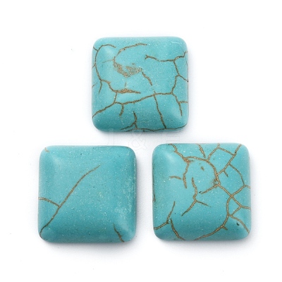Synthetic Turquoise Cabochons TURQ-WH0001-03G-1