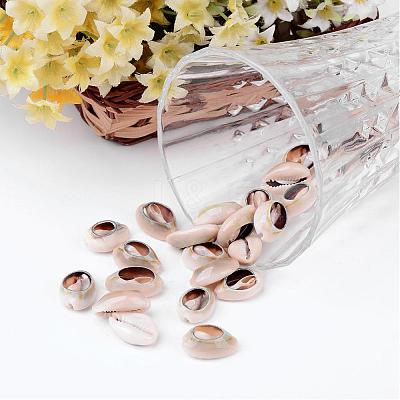 Natural Cowrie Shell Beads X-BSHE-S053-1