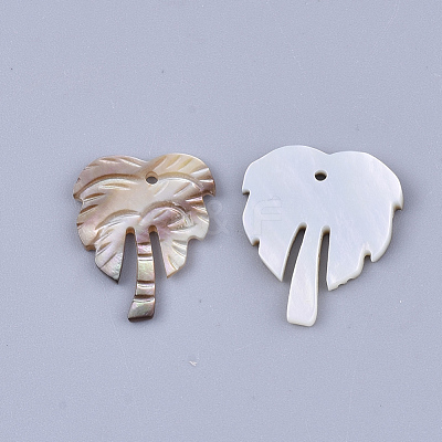 Black Lip Shell Pendants SSHEL-S251-25-1