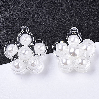 Transparent Acrylic Pendants TACR-R146-001-1