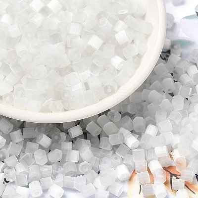 Glass Seed Beads X1-SEED-H002-D-A801-1