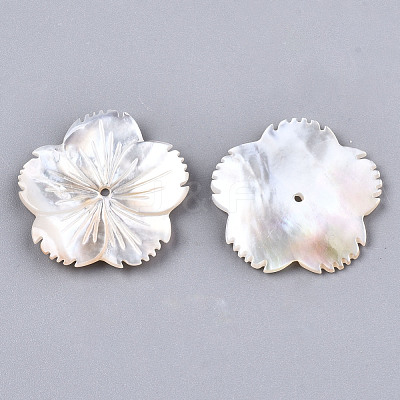 Natural White Shell Mother of Pearl Shell Beads SSHEL-N032-18-1