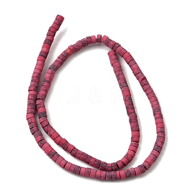 Dyed Synthetic Turquoise Beads Strands G-Z089-A04-I-1