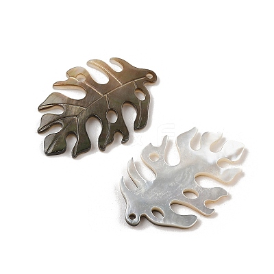 Natural Black Lip Shell Pendants SHEL-R100-07A-1