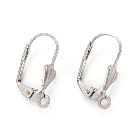 Tarnish Resistant 304 Stainless Steel Leverback Earring Findings LS-STAS-K218-08P-1