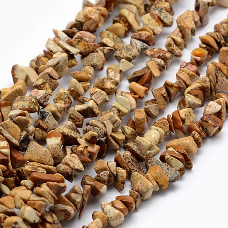 Natural Picture Jasper Beads Strands G-P332-19-1