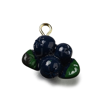 Brass Acrylic Pendants OACR-R006-01G-09-1