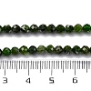 Natural Diopside Beads Strands G-G188-B14-02-5
