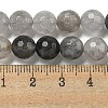 Natural Cloudy Quartz Beads Strands G-E571-A08-02-5