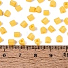 FGB Baking Paint Glass Seed Beads SEED-Q040-09A-09-4