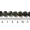 Natural African Bloodstone Beads Strands G-R190-10mm-56-5