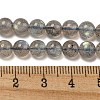 Natural Labradorite Beads Strands G-F602-04A-2